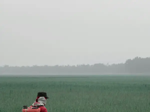 Aplicación con mochila en el cultivo